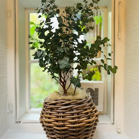 Apt. Stone-Lodge Salzbourg Extérieur photo