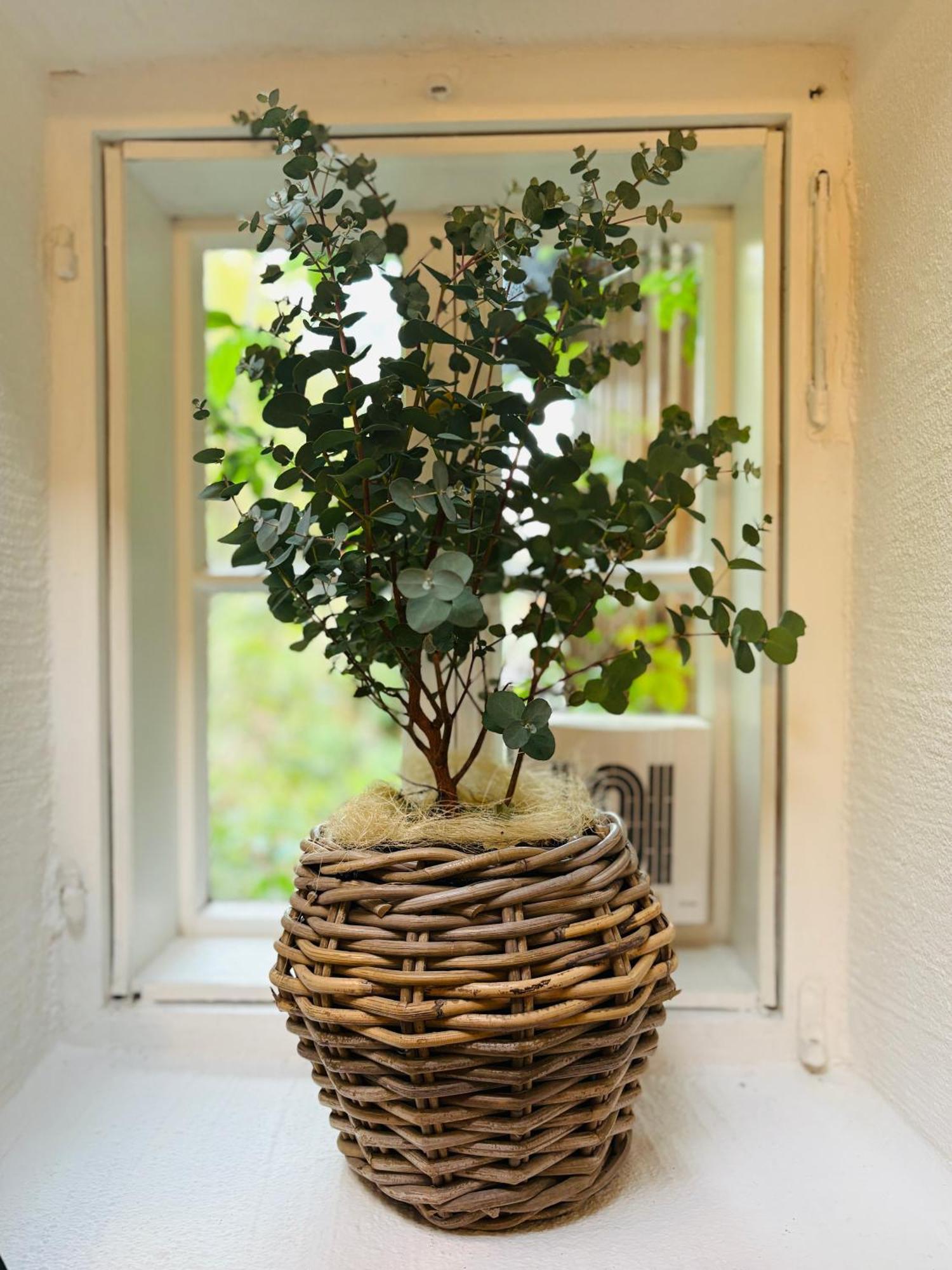 Apt. Stone-lodge Apartament Salzburg